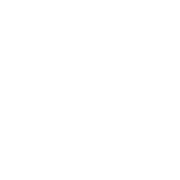 VR Experience Development